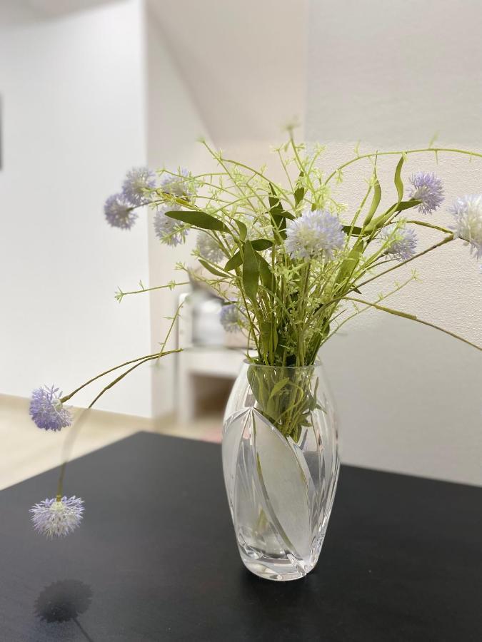 Apartma Azurre Postojna Kültér fotó